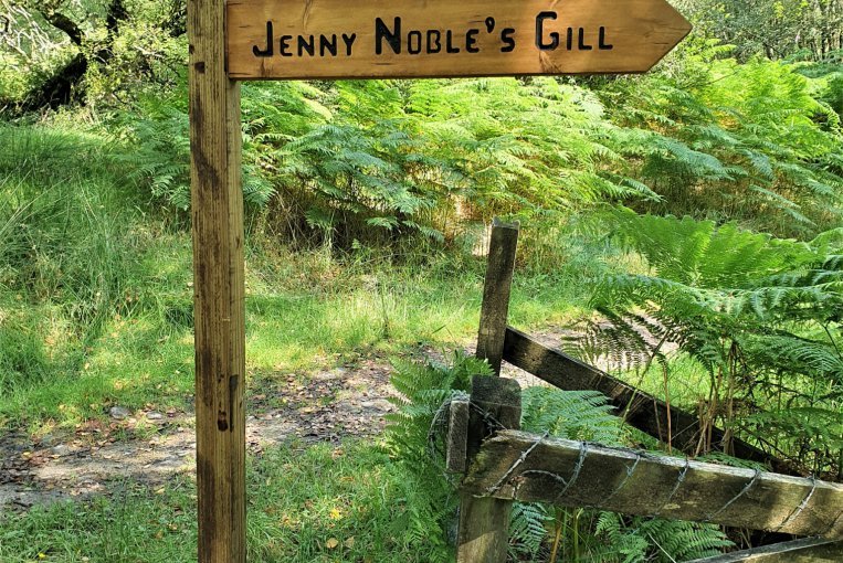 Jenny Nobles Gill