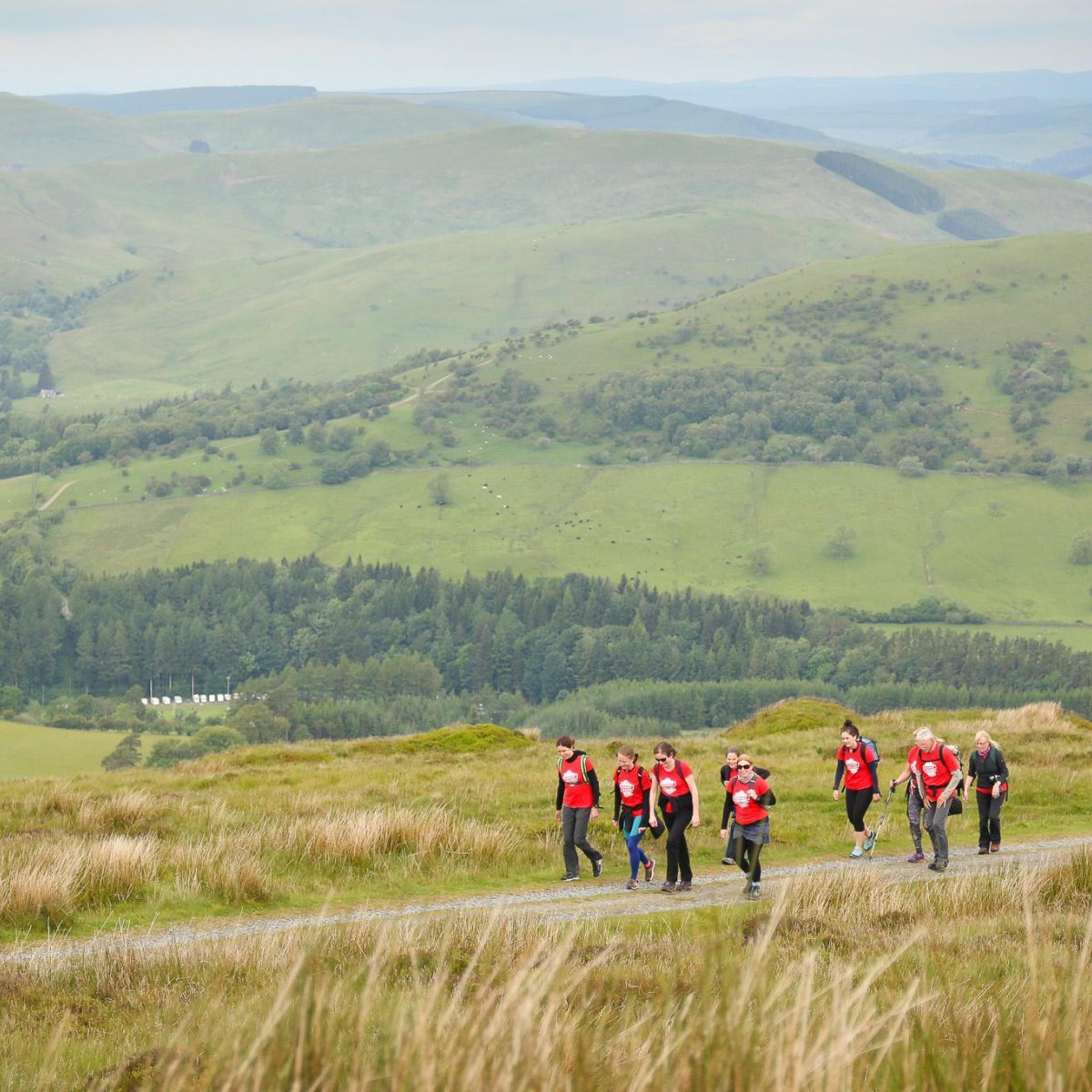 Walking The Great Outdoors Things Langholm